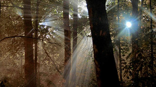 How to Cloak a Crime in a Beam of Light